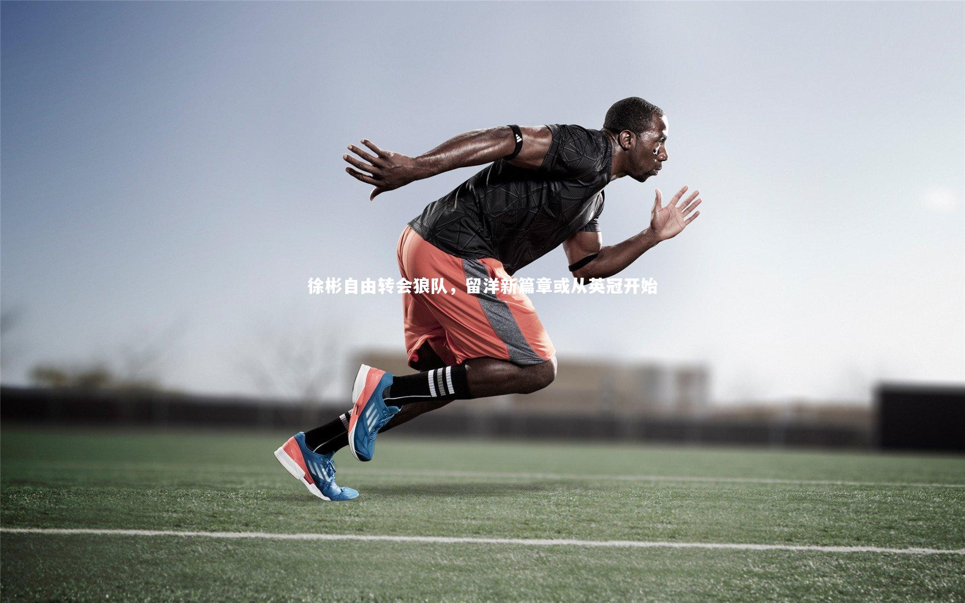 星空体育-徐彬自由转会狼队,留洋新篇章或从英冠开始-第1张图片-星空体育(中国)官方网站 - 星空体育APP下载 - STARRY 星空体育-徐彬自由转会狼队,留洋新篇章或从英冠开始-第1张图片-星空体育(中国)官方网站 - 星空体育APP下载 - STARRY